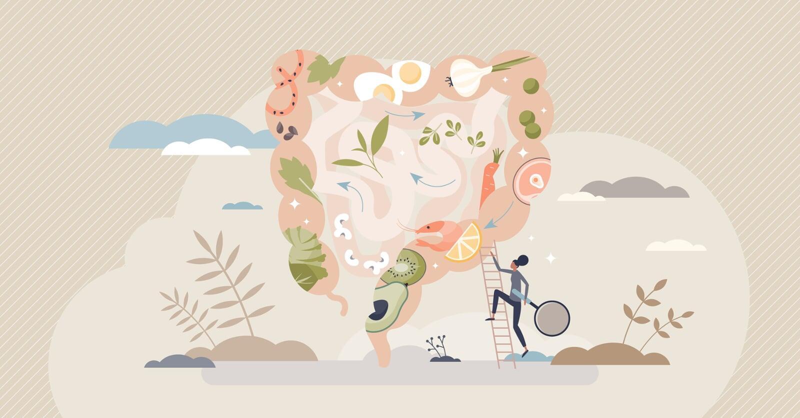 Sieben Geheimnisse für Ihren Darm - Was ich als Arzt über echte Darmgesundheit gelernt habe